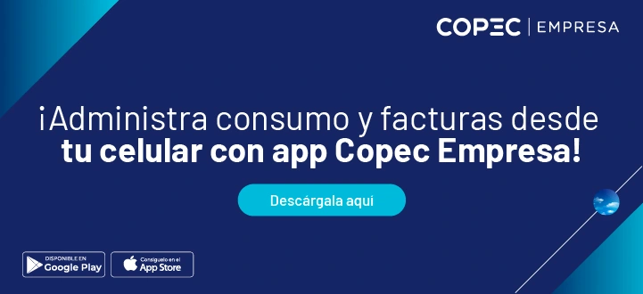 Factura combustible